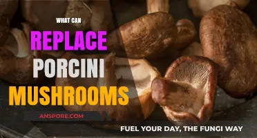 Discover Porcini Mushroom Alternatives: Flavorful Substitutes for Your Recipes