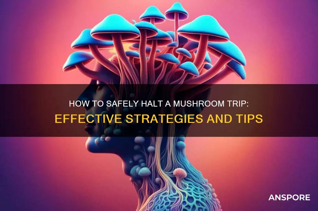 what can stop a mushroom trip