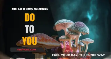 Exploring the Effects of Psychedelic Mushrooms on Mind and Body