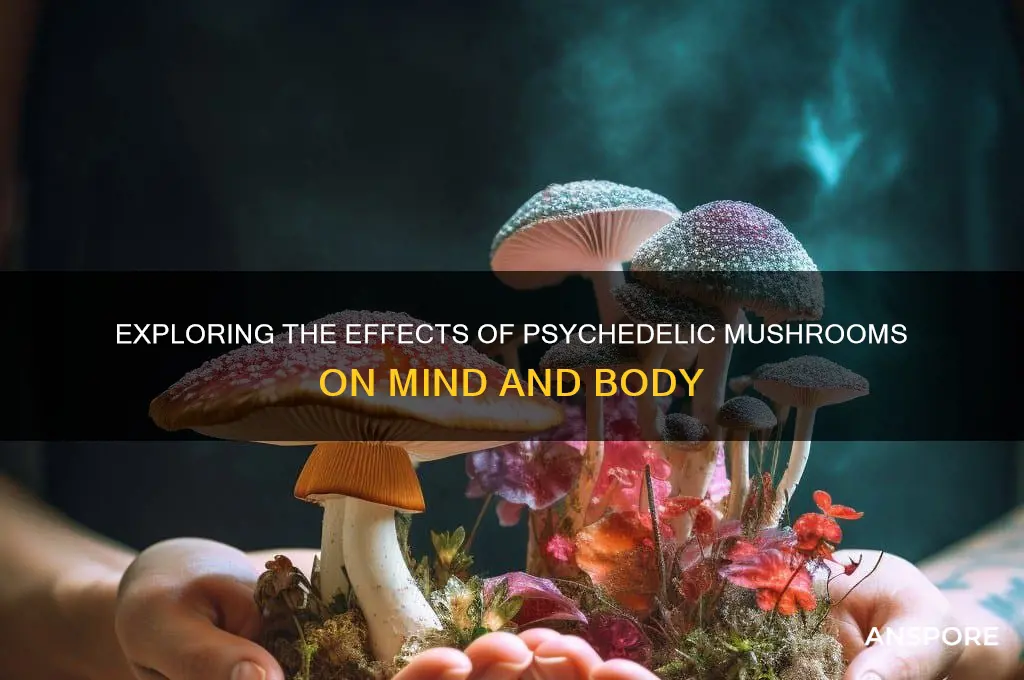 what can the drug mushrooms do to you