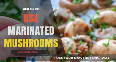 Delicious Ways to Use Marinated Mushrooms in Your Cooking