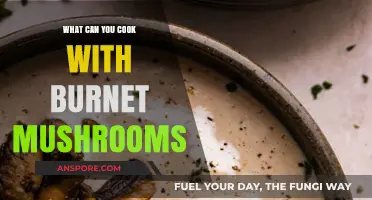 Delicious Burnet Mushroom Recipes: Creative Ways to Cook with This Foraged Fungus