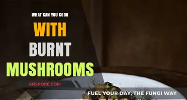 Creative Recipes to Transform Burnt Mushrooms into Delicious Dishes