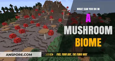 Exploring Mushroom Biomes: Activities, Survival Tips, and Hidden Wonders