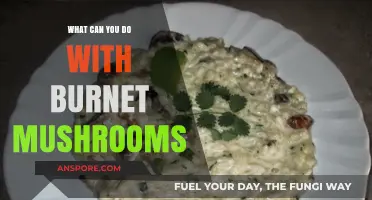 Exploring Burnet Mushrooms: Creative Culinary Uses and Health Benefits