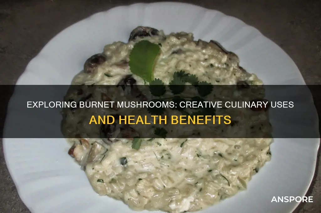 what can you do with burnet mushrooms