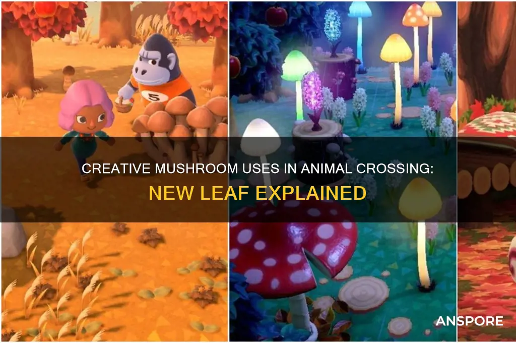 what can you do with mushrooms acnl