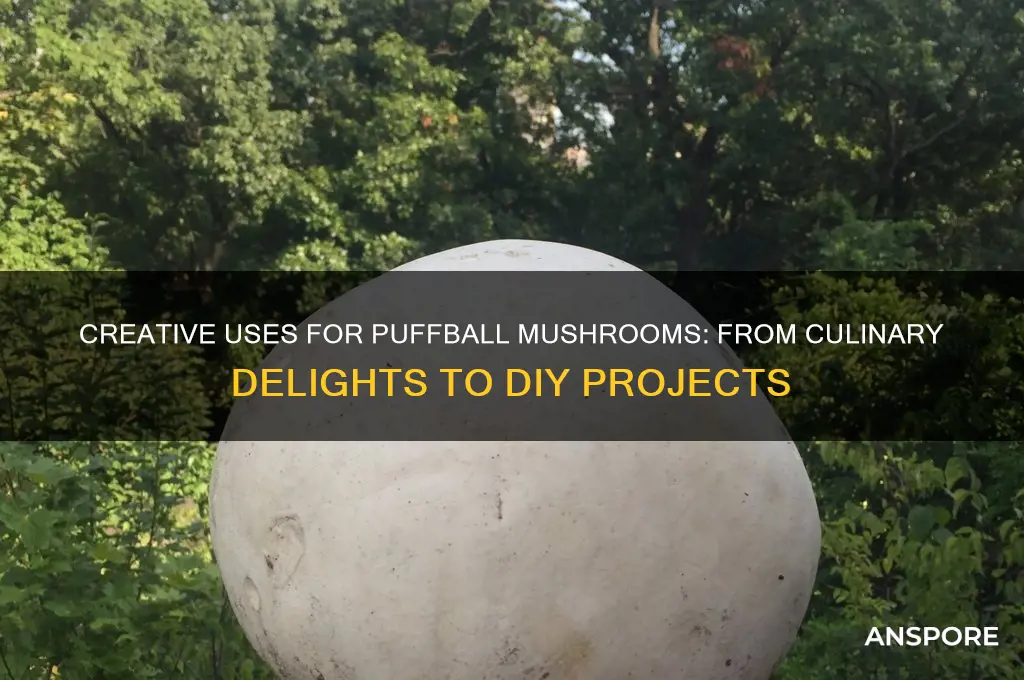 what can you do with puffball mushrooms