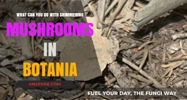 Shimmering Mushrooms in Botania: Creative Uses and Magical Applications