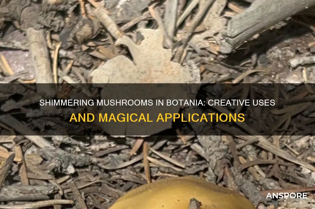 what can you do with shimmering mushrooms in botania