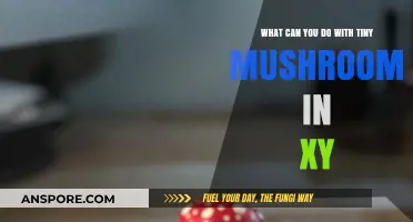 Creative Uses for Tiny Mushrooms in XY: Tips and Ideas