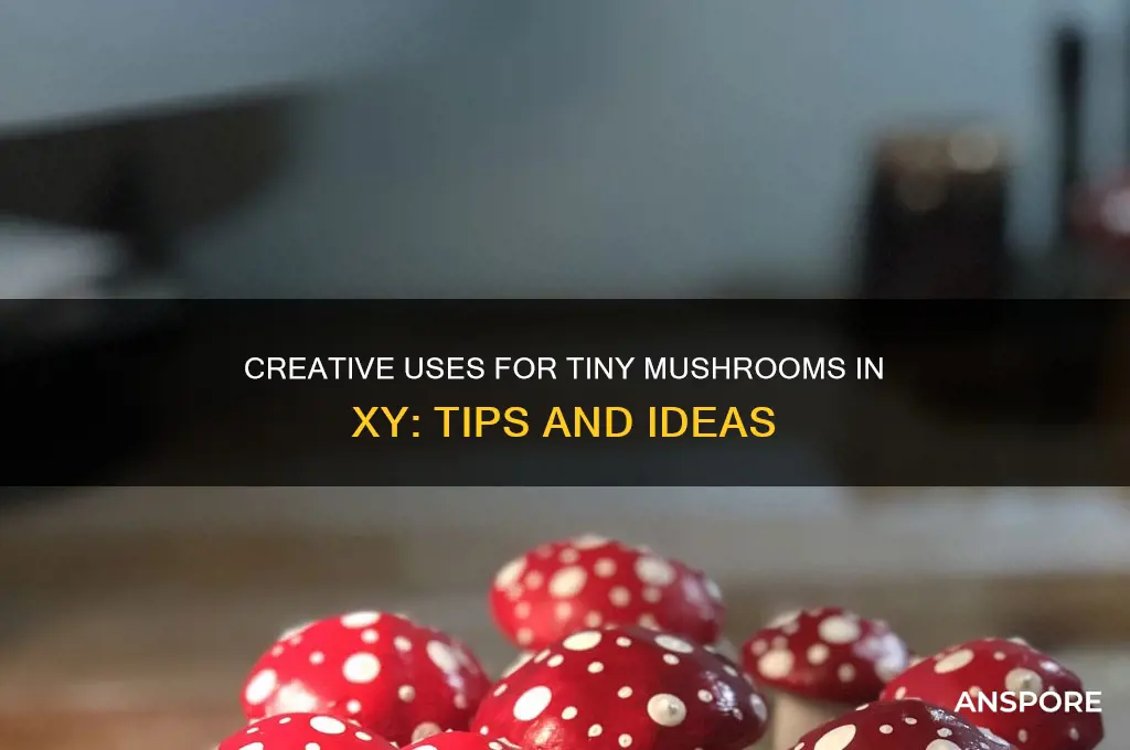 what can you do with tiny mushrooms in xy