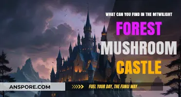 Discovering the Secrets of the Twilight Forest Mushroom Castle