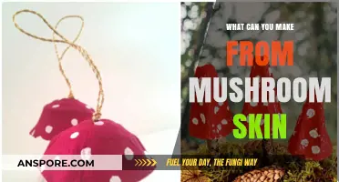 Creative Uses for Mushroom Skin: Sustainable Crafting and Culinary Ideas
