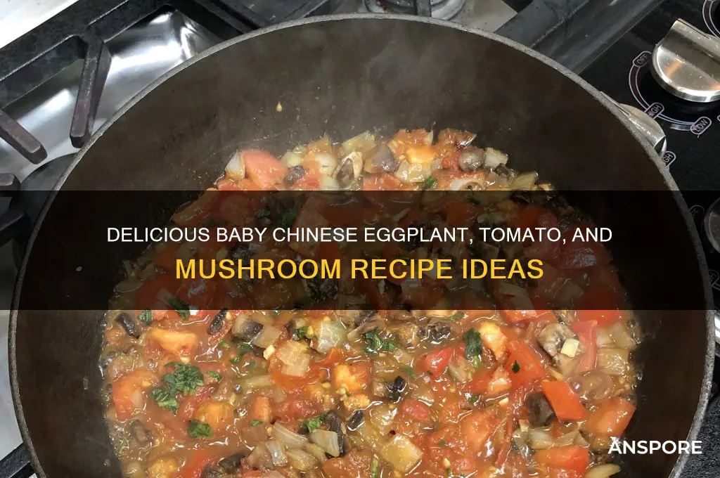what can you make with baby chinese eggplant tomatoesand mushrooms
