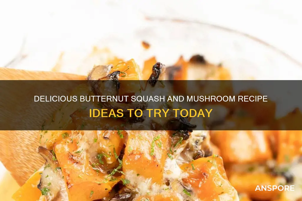 what can you make with butternut squash and mushrooms