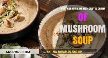 Delicious Recipes Using Diluted Cream of Mushroom Soup: Creative Ideas