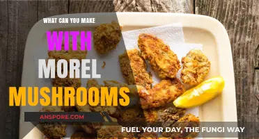 Delicious Morel Mushroom Recipes: Creative Culinary Ideas to Try at Home