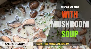 Creative Mushroom Soup Recipes: Delicious Dishes Beyond the Bowl