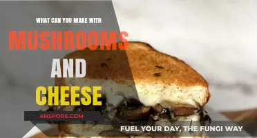 Delicious Mushroom and Cheese Creations: Savory Recipes to Try Today