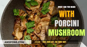 Delicious Porcini Mushroom Creations: Recipes and Culinary Inspiration