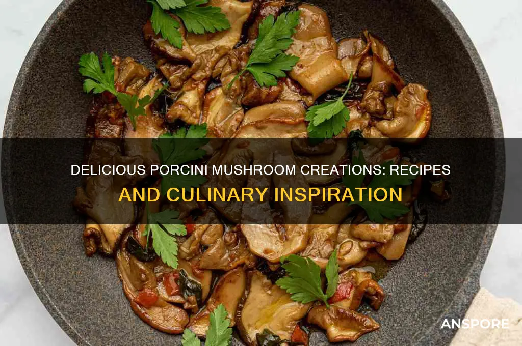 what can you make with porcini mushrooms