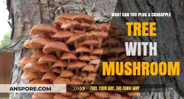Mushroom-Infused Crabapple Trees: Unlocking Unique Benefits and Uses