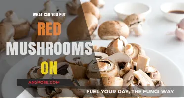 Creative Uses for Red Mushrooms: Toppings and Culinary Ideas
