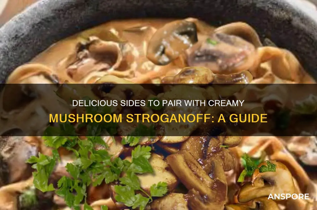 what can you serve with mushroom stroganoff
