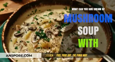 Cream of Mushroom Soup Substitutes: Healthy and Tasty Alternatives to Try