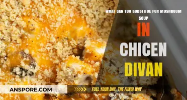Chicken Divan Recipe Twist: Mushroom Soup Substitutes to Try Now