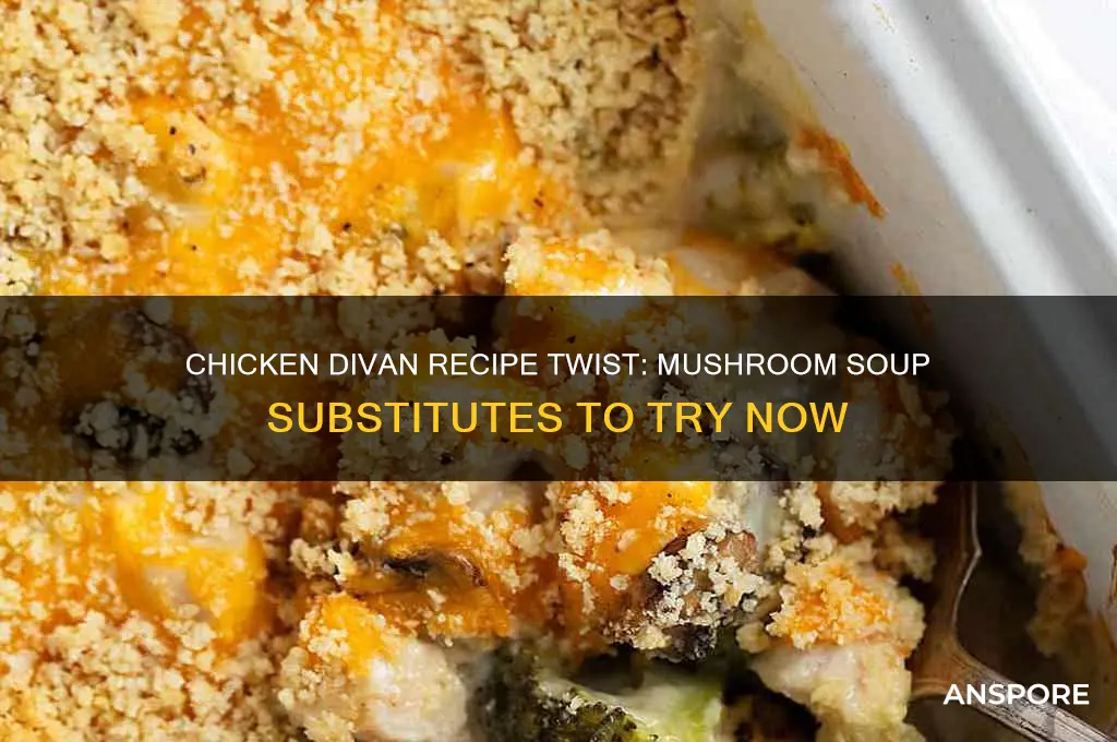 what can you substitue for mushroom soup in chicen divan