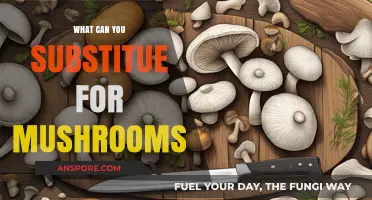 Mushroom Alternatives: Creative Substitutes for Flavor and Texture in Recipes