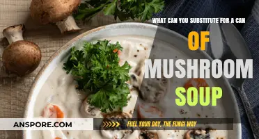 Creative Mushroom Soup Substitutes: Elevate Your Recipes with These Alternatives