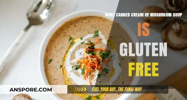 Gluten-Free Cream of Mushroom Soup: Safe Canned Options Revealed