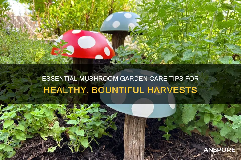 what care is necesarry for a mushroom garden