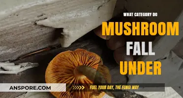 Mushrooms: Fungi or Vegetable? Unraveling Their Biological Classification