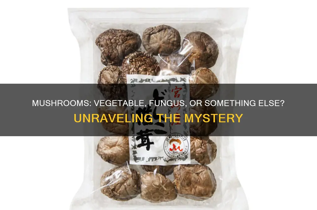 what category of food is mushrooms