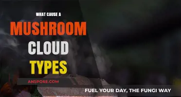 Exploring the Science Behind Mushroom Cloud Formation and Types