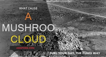 How Nuclear Explosions Create Mushroom Clouds