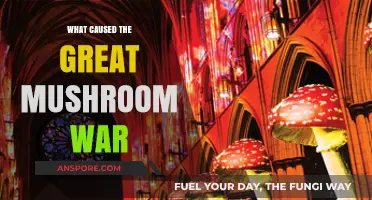 Unraveling the Mysterious Origins of the Great Mushroom War
