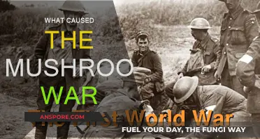 The Mushroom War: What Triggered the Apocalypse?