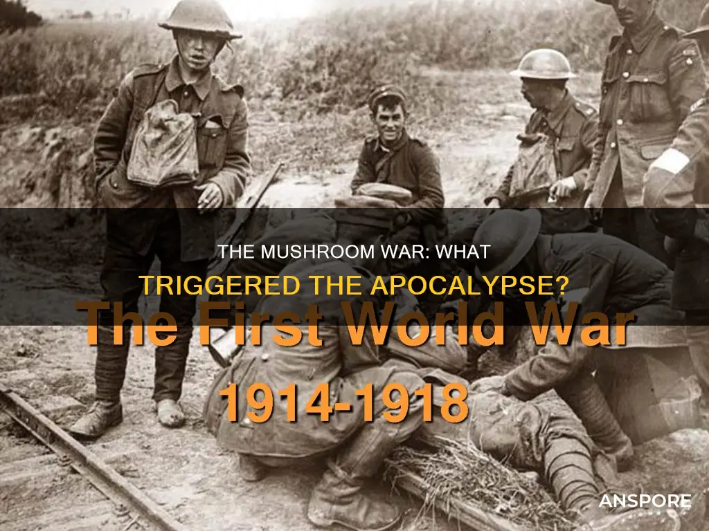 what caused the mushroom war