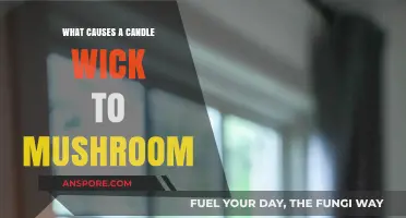 Why Candle Wicks Mushroom: Causes and Prevention Tips