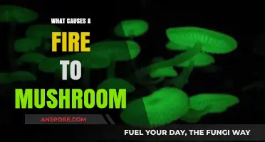 Understanding the Science Behind Mushrooming Fires: Causes and Factors