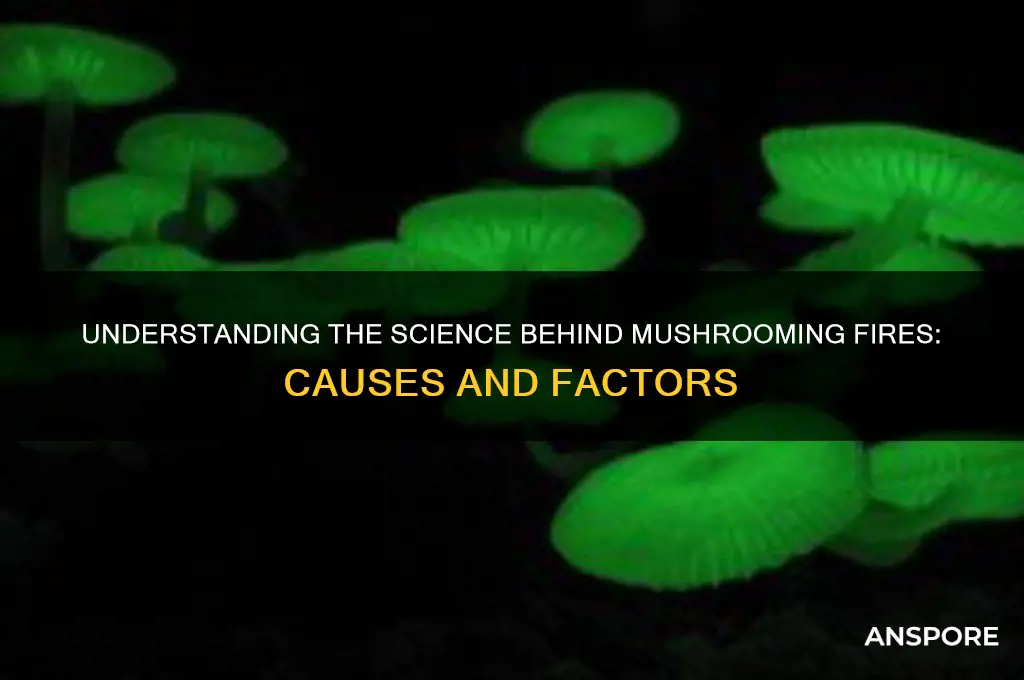 what causes a fire to mushroom