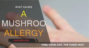 Mushroom Allergies: Triggers and Causes
