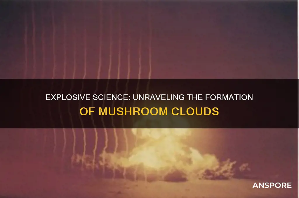 what causes a mushroom cloud after an explosion