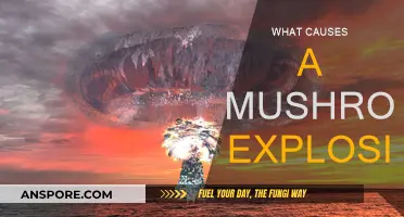 Mushroom Explosions: Understanding the Complex Factors Involved
