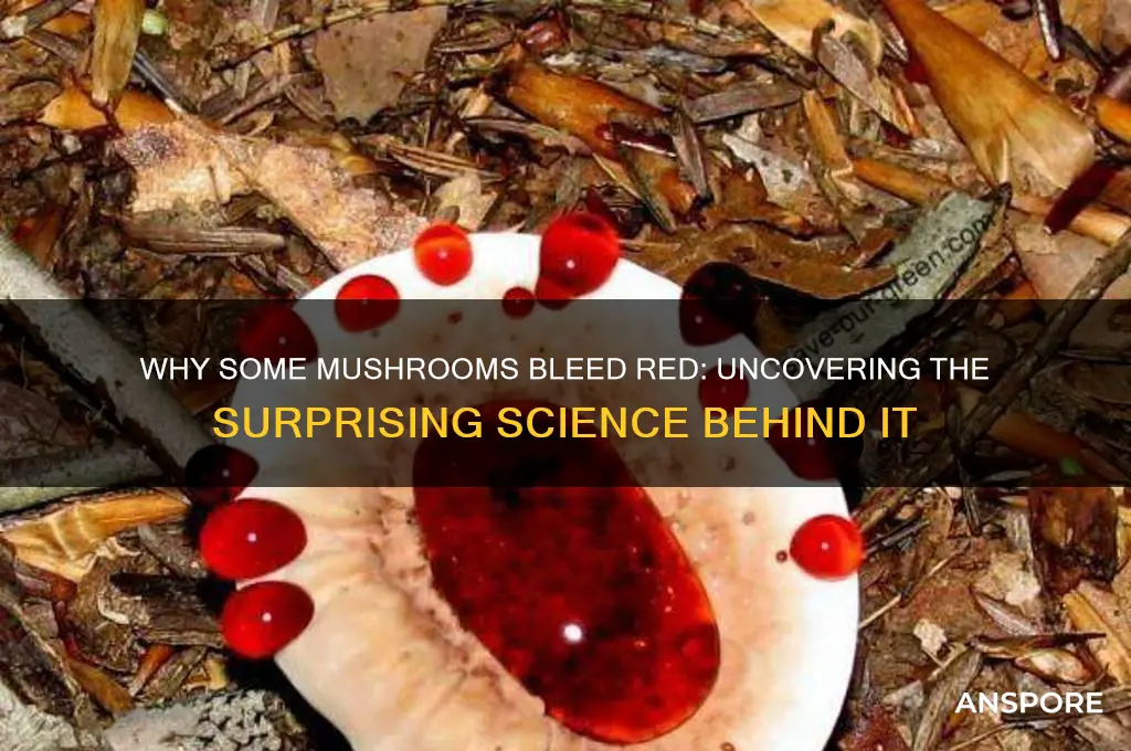 what causes a mushroom to bleed red